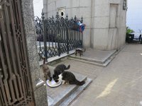 LR ARG-20130107-619 : Argentina