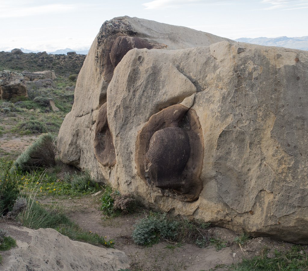 LR ARG-20130107-187