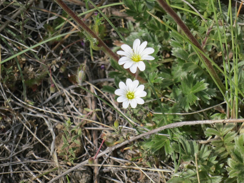 LR ARG-20130107-202