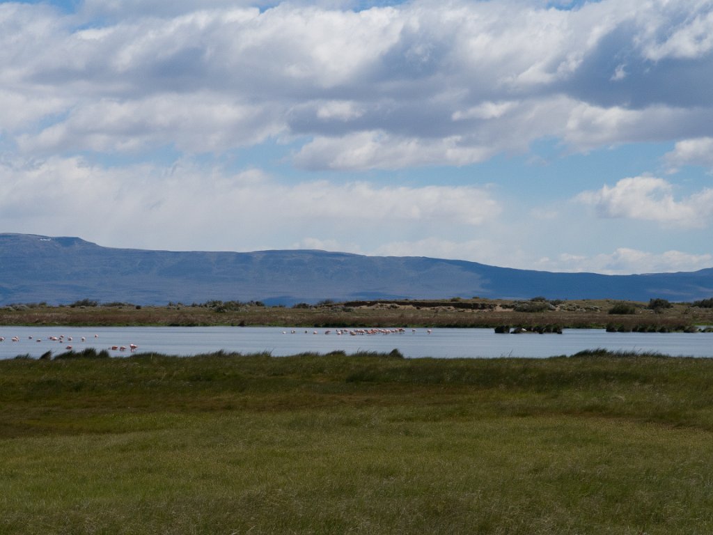 LR ARG-20130107-282