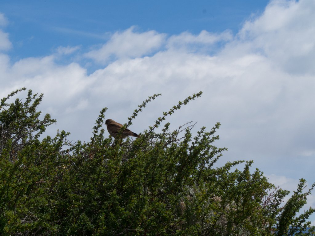 LR ARG-20130107-302