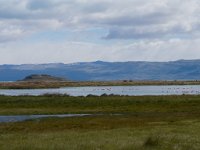 LR ARG-20130107-281 : Argentina