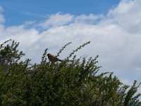 LR ARG-20130107-302 : Argentina