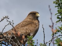 LR ARG-20130107-307 : Argentina