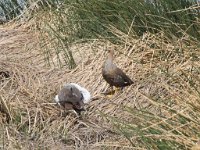 LR ARG-20130107-310 : Argentina