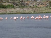 LR ARG-20130107-326 : Argentina