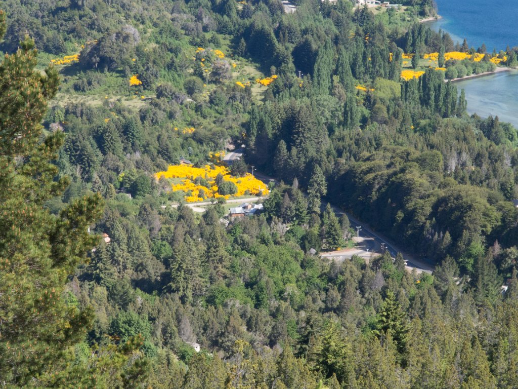 LR ARG-20130107-362