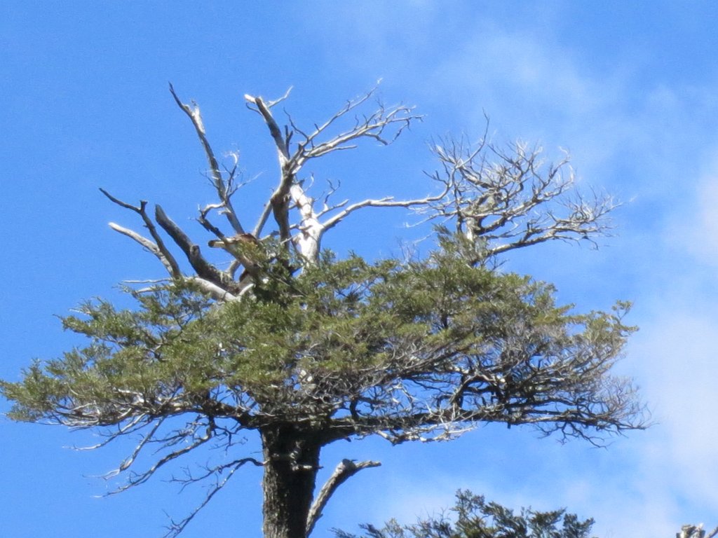 LR ARG-20130107-400