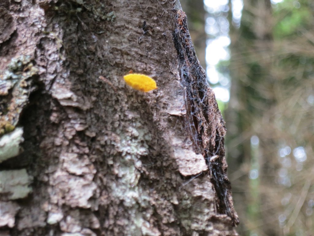 LR ARG-20130107-520