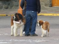 LR ARG-20130107-468 : Argentina