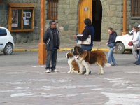 LR ARG-20130107-469 : Argentina