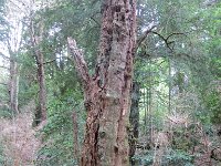 LR ARG-20130107-491 : Argentina