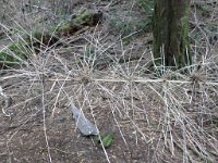 LR ARG-20130107-492 : Argentina
