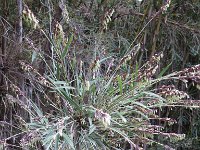 LR ARG-20130107-567 : Argentina