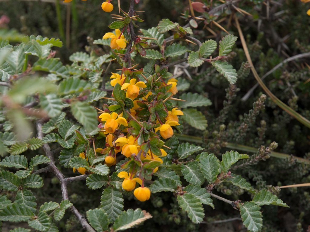 LR ARG-20130107-086