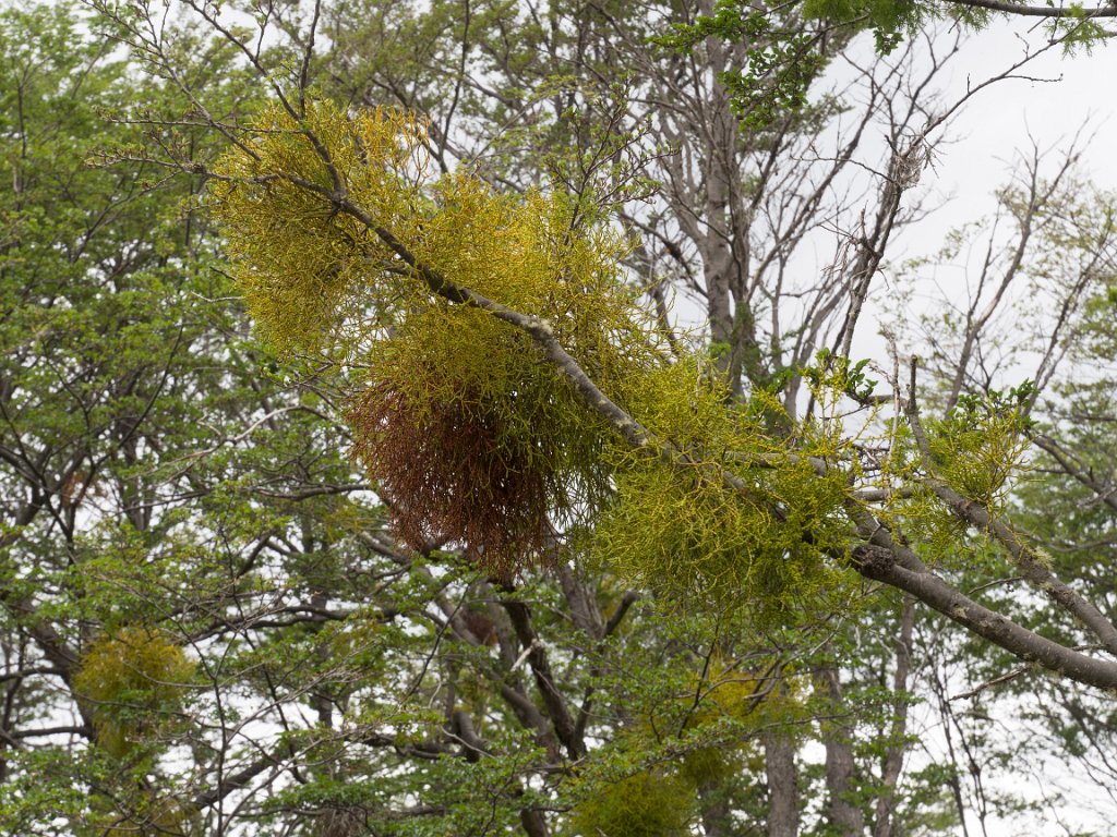 LR ARG-20130107-096