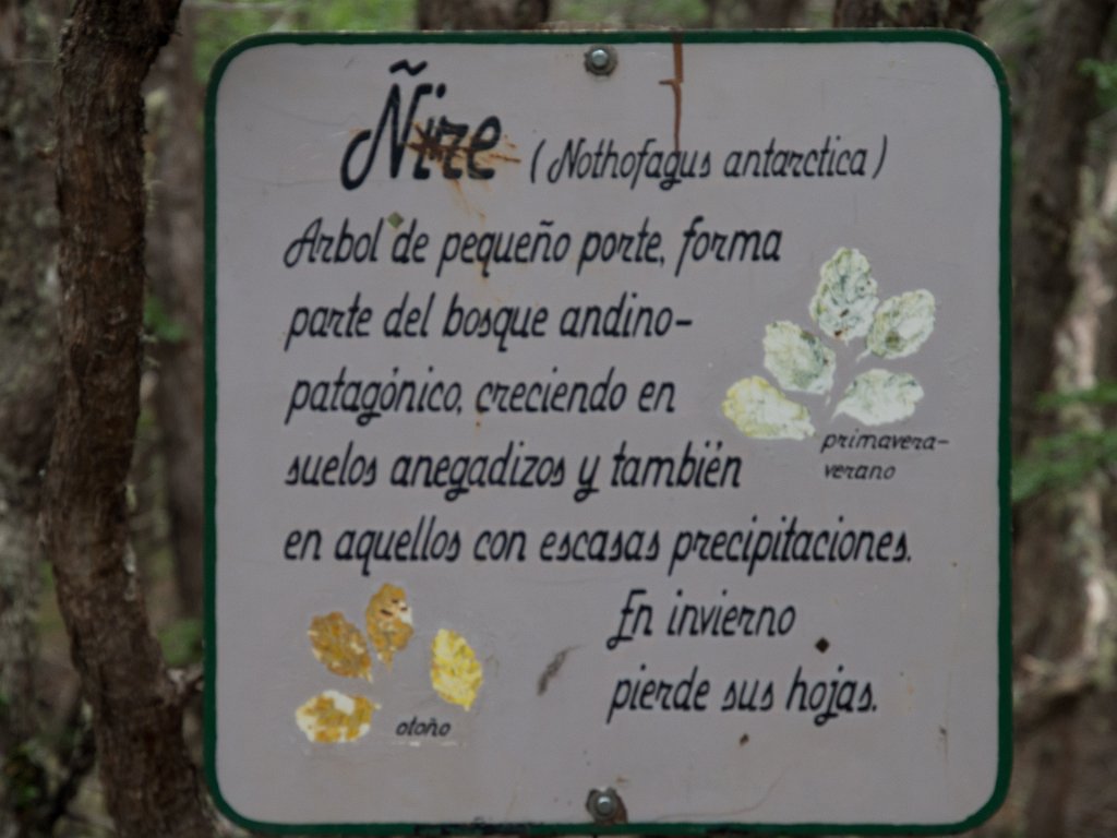 LR ARG-20130107-099