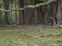 LR ARG-20130107-087 : Argentina