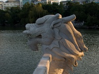 China 0088