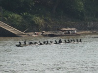 China 0221