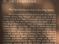 China 0816