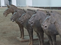 China 0539