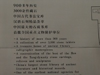 China 0596