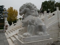 China 0775