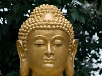 China 0795