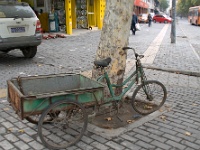 China 0808