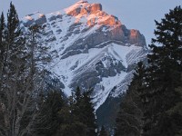 009_IMG_0180