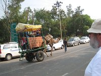 IMG 9553