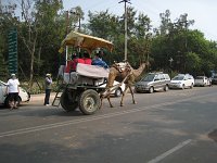 IMG 9556