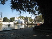 IMG 9236