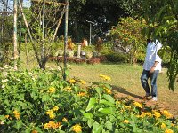 IMG 9193