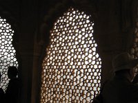 IMG 9772