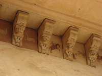 IMG 9795