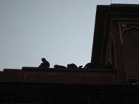 IMG 9821