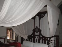 IMG 9892