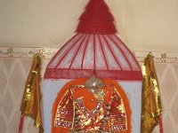 IMG 9975