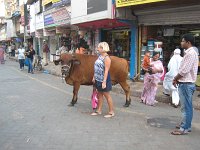 IMG 9091