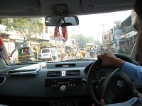 IMG 9461