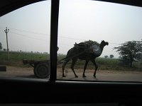 IMG 9672