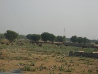 IMG 9705