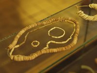 PB196995