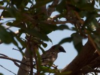 Israel 2009-38