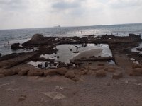 Israel 2009-117