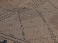 Israel 2009-123