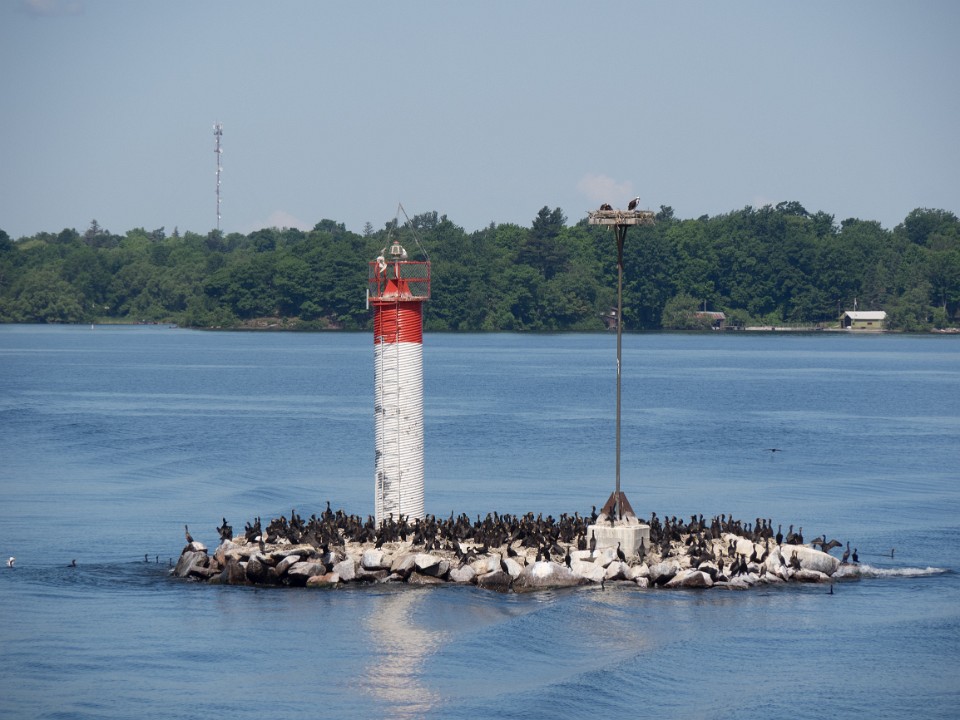 P6241702