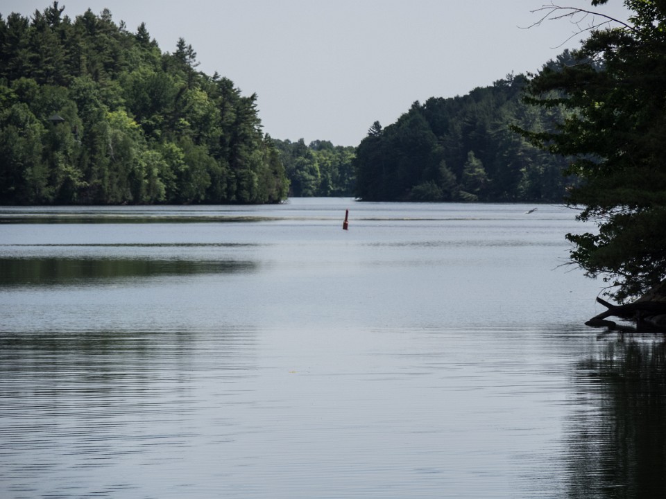 P6251737